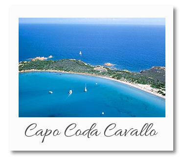 capo-coda-cavallo